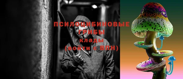 apvp Алексин